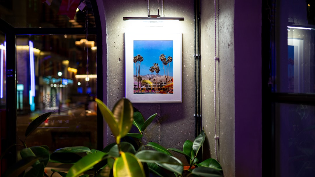 Photo picture lights